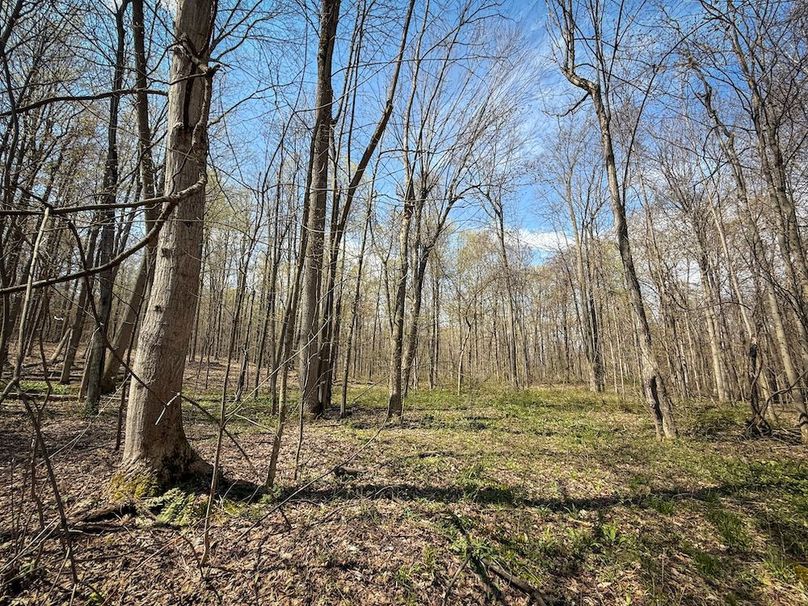 Cayuga_23.5_Demott_photos_10
