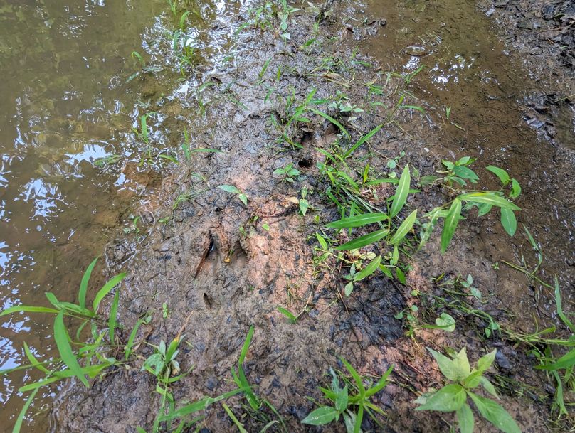 PXL_20230801_145125234.MP