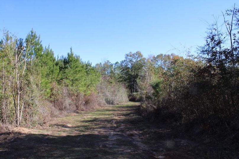 387A13C6-D80C-44ED-907F-FD9E6AB00D89