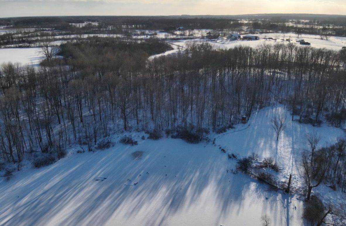5 Food plot and Lake SWView