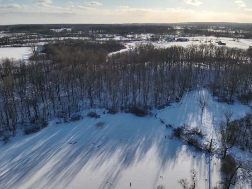 5 Food plot and Lake SWView
