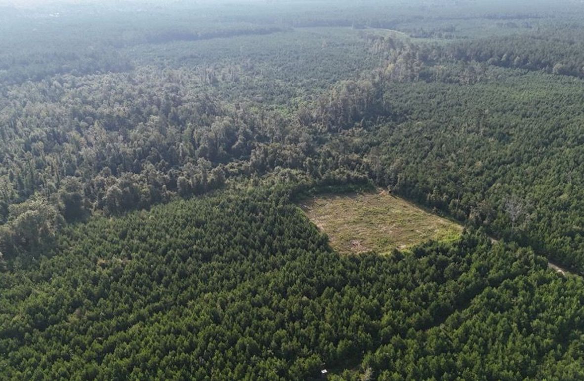 dji_fly_20250903_215828_0017_1756926957625_photo