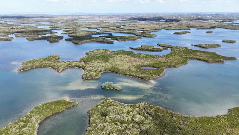 17.17ac, Citrus, Josiah Ronco05