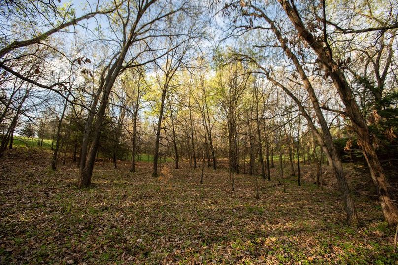 MONTGOMERY CO IA. 156.78_65