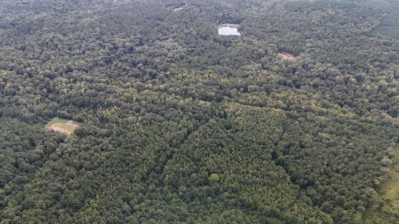 DJI_20250813041557_0616_D