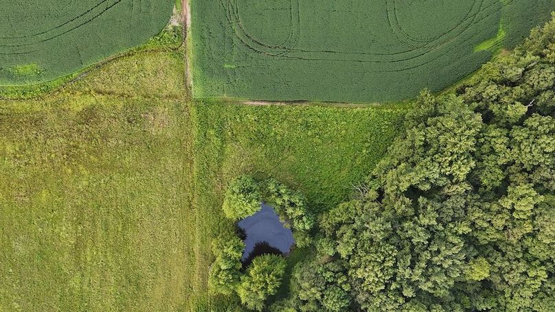 Copy of Copy of DJI_20250728194242_0311_D