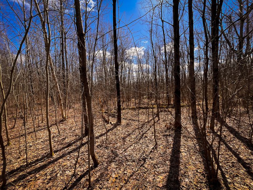 Oswego_165.52_Lashomb_Photos_41