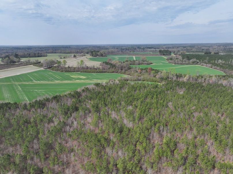 DJI_20260303063913_0558_D