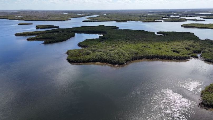 17.17ac, Citrus, Josiah Ronco22