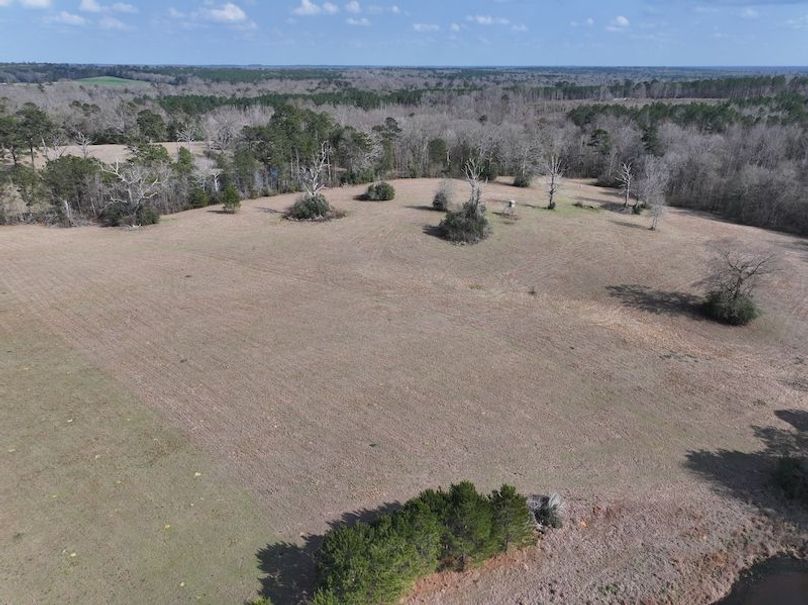 dji_fly_20260220_132448_0231_1771640791004_photo