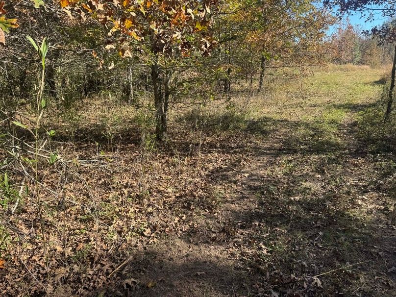 1a1 jeff 8320251111_0264