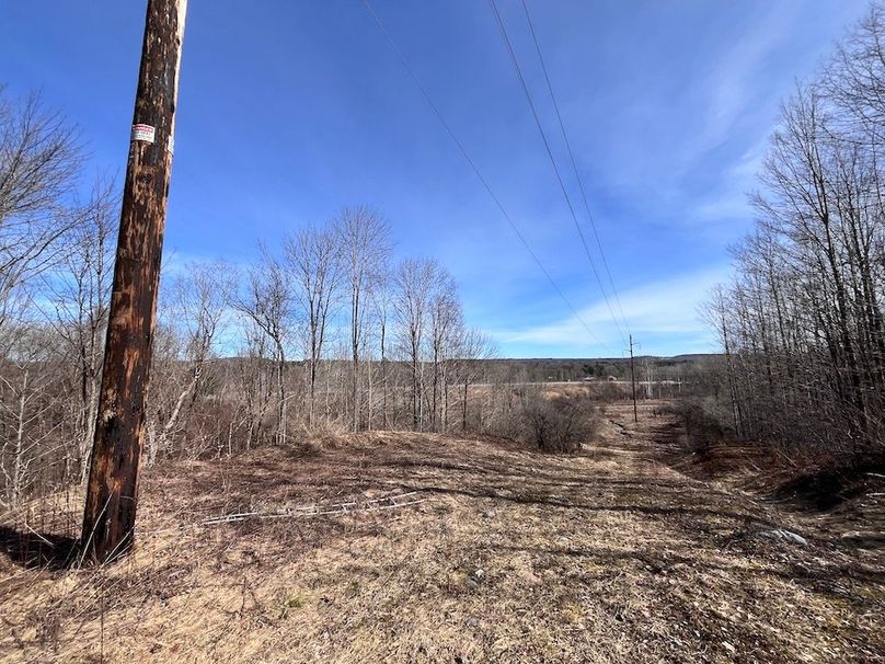 Lewis_26_Somberg Photo 59