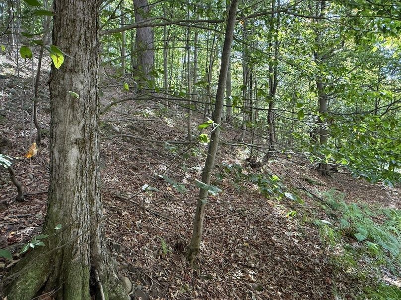 Oswego NY 18.18 Martin Photos 41