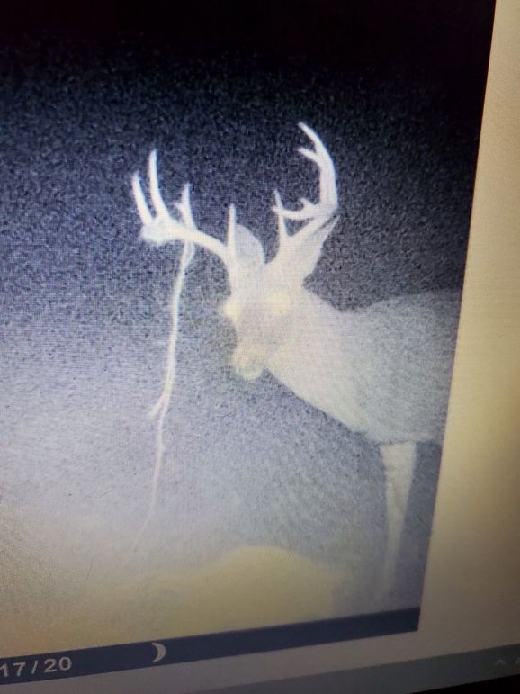 FCF49191-3238-45A7-B0CD-EDDBDBDD13FC