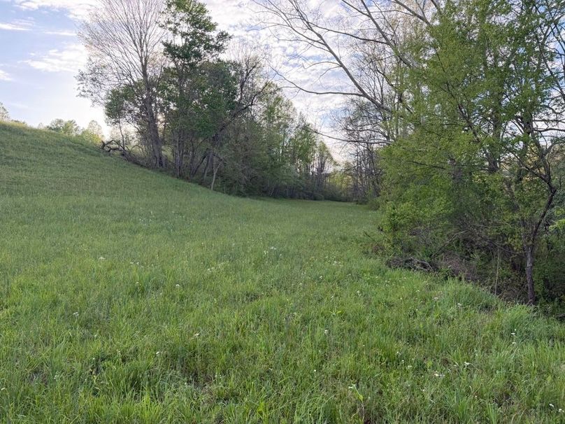 006 Lower bottom tucked away from the road making it ideal for a barn, shop, or private homesite-2