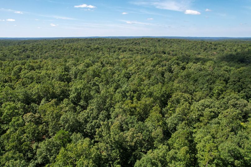 DJI_0107