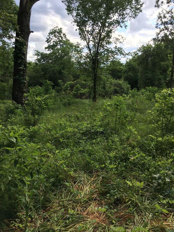 1E156B5A-F144-482C-94E9-6F91FDD3C99B_1_105_c