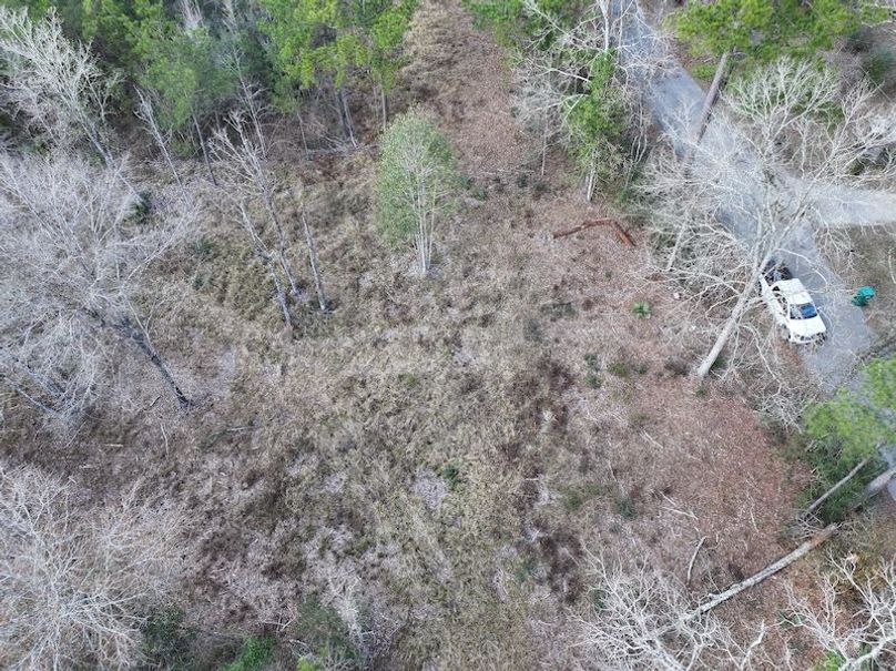 dji_fly_20260212_140820_0058_1771284242679_photo