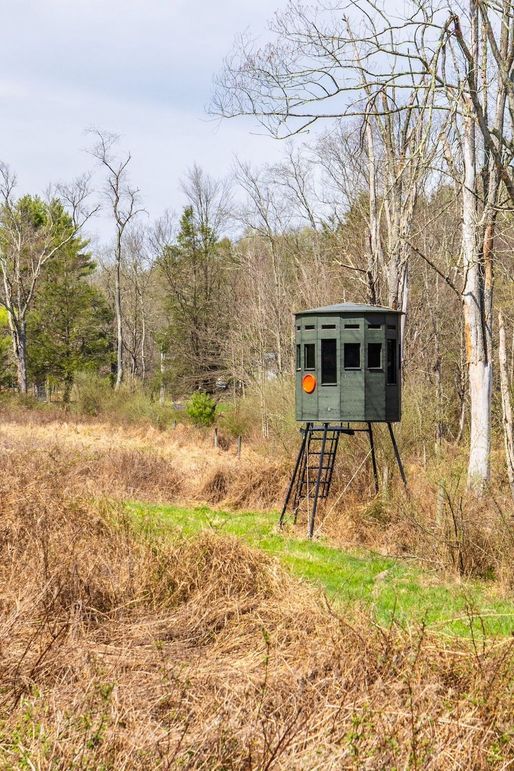 31-web-or-mls-IMG-31