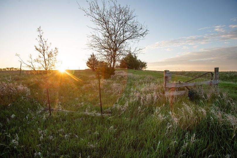 MONTGOMERY CO IA. 156.78_18