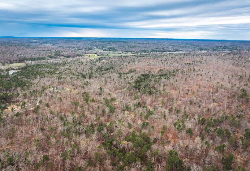 DJI_20250403135251_0606_D