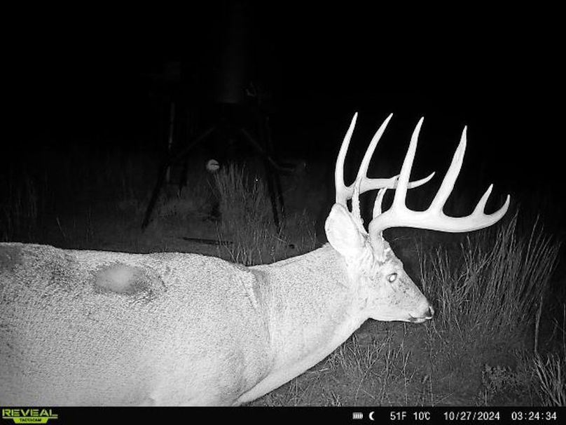 3.Copy of Copy of 864049057268452-100-3-10272024032434-W1041678