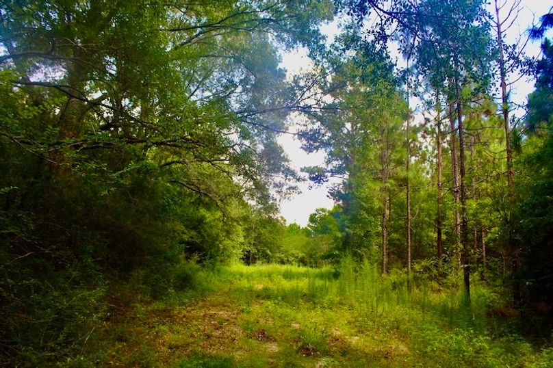 6157D9CC-1702-4028-9A4B-49A730856B08_1_105_c