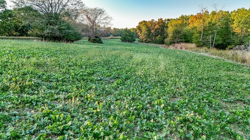 DJI_20251010172732_0007_D