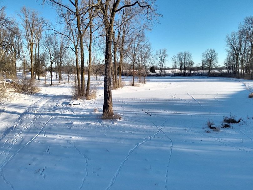 Copy of Tract 6 end of pond looking at m50 #2 Large