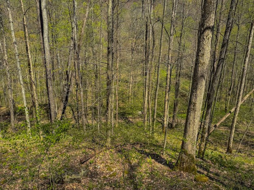 Gilmer, WV 100 AC Shilling-75