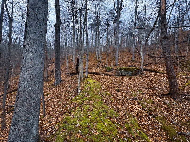 Ritchie, WV 100 AC Harper-42