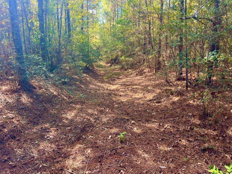 918CA43C-7DB1-4B32-BBBE-90F9458E09F2_1_201_a