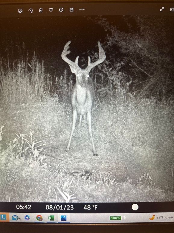 05 big framed 8 copy