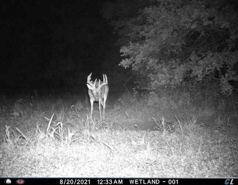 4ABE51EE-0D0D-43E0-9CE8-CE458CCC37AF