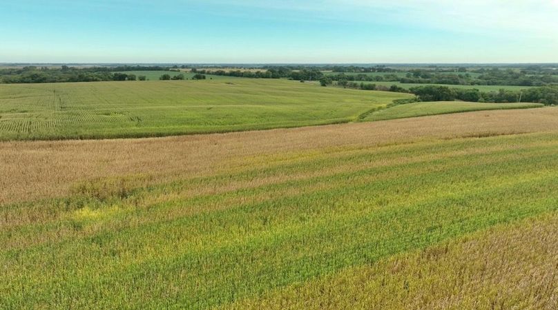 Screenshot 2025-09-05 at 1.58.32 PM