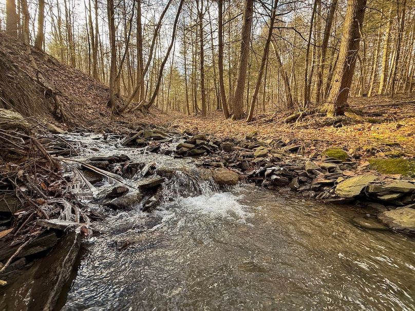 Chemung_59.65_Kocsis_photos_27