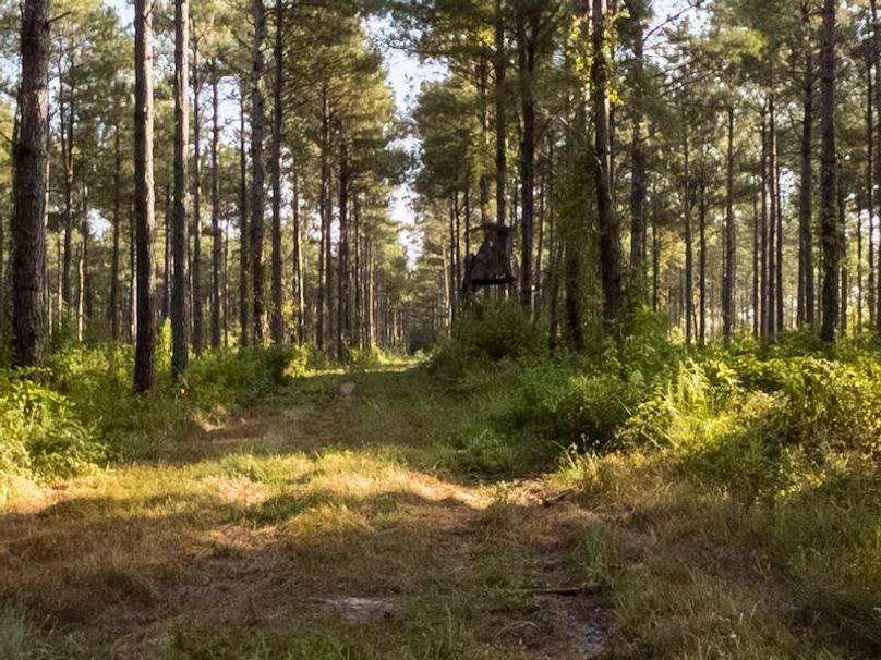 Ashley Co-40-Givens-65