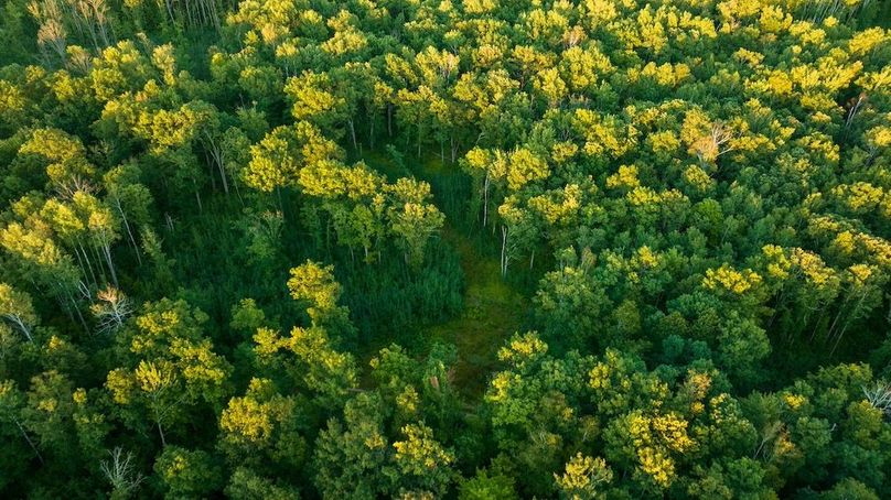 Cass MN 1095 Featured ProPhoto-103