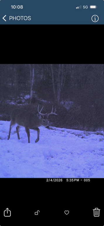 Screenshot 2026-04-02 at 10.08.38 AM