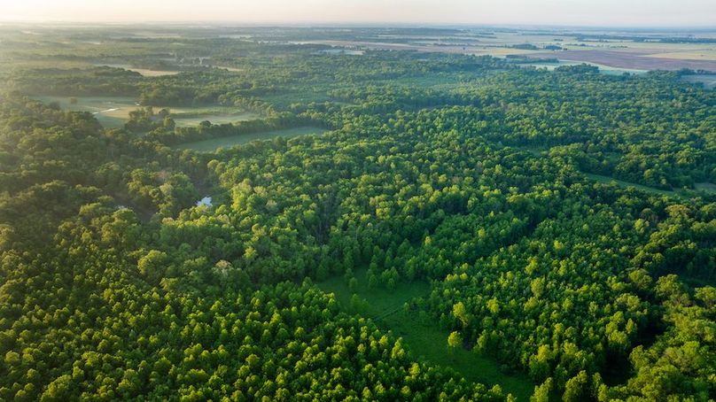 DJI_20250514053726_0025_D