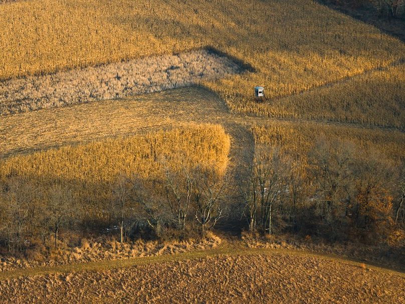 DJI_20251223083124_0224_D