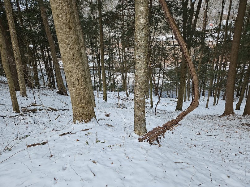 photo_f368d249-3b09-4069-94b0-fcf4803753e5