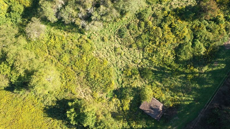 DJI_0045