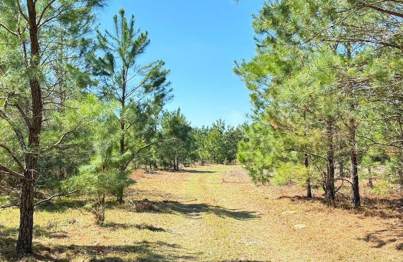 6A26271C-DC87-4580-BED3-AF9AD681AD5D