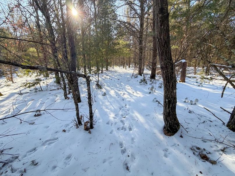 Monroe 68.2 - 105 of 120