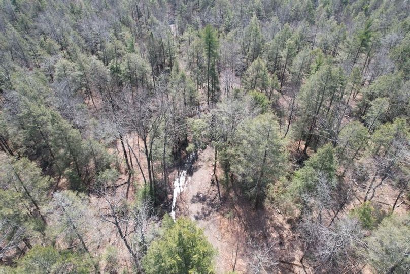 dji_fly_20260330_125106_566_1775656576960_photo