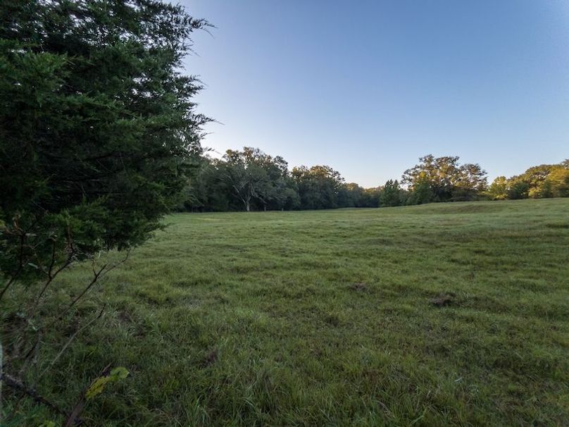 Hinds Co - 30 - Newman-04