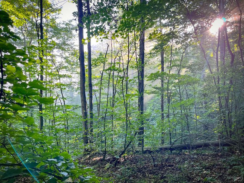 Tioga_82.5_Williams_Photos_18