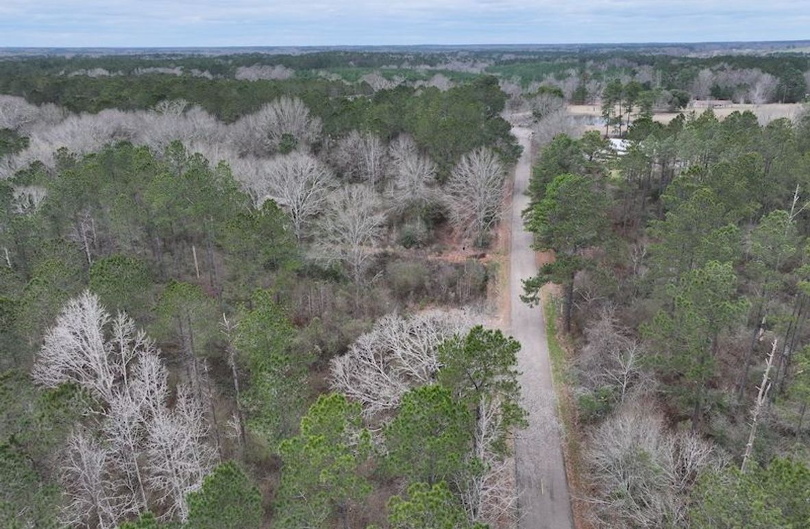 dji_fly_20260217_131754_0092_1771436913868_photo