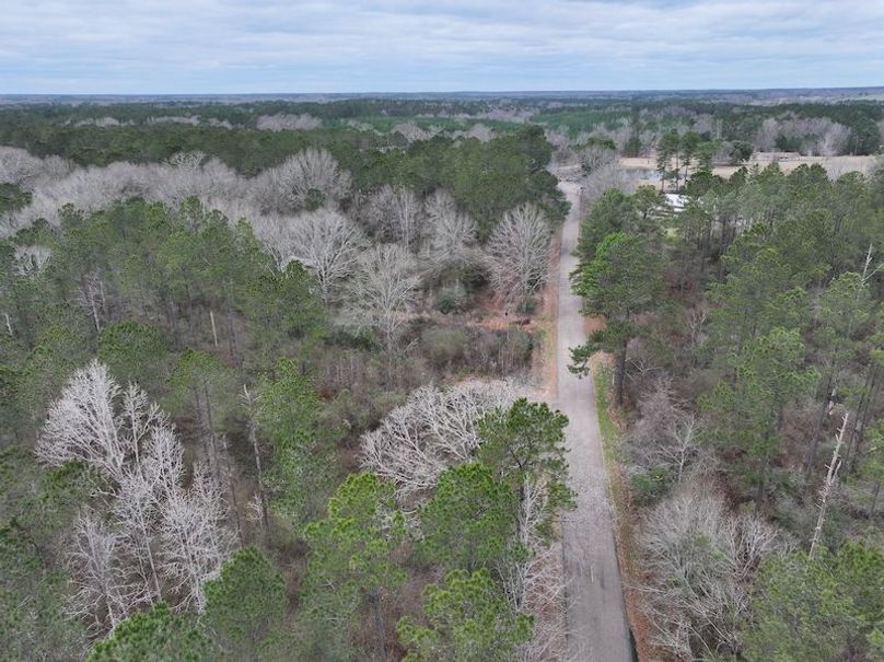 dji_fly_20260217_131754_0092_1771436913868_photo